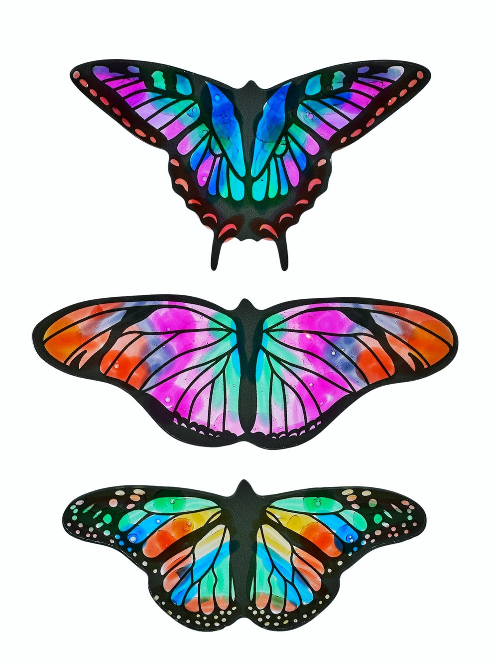 Butterfly Paradise