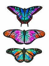 Butterfly Paradise