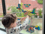 Butterfly Paradise