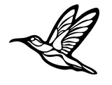 Bird Sanctuary